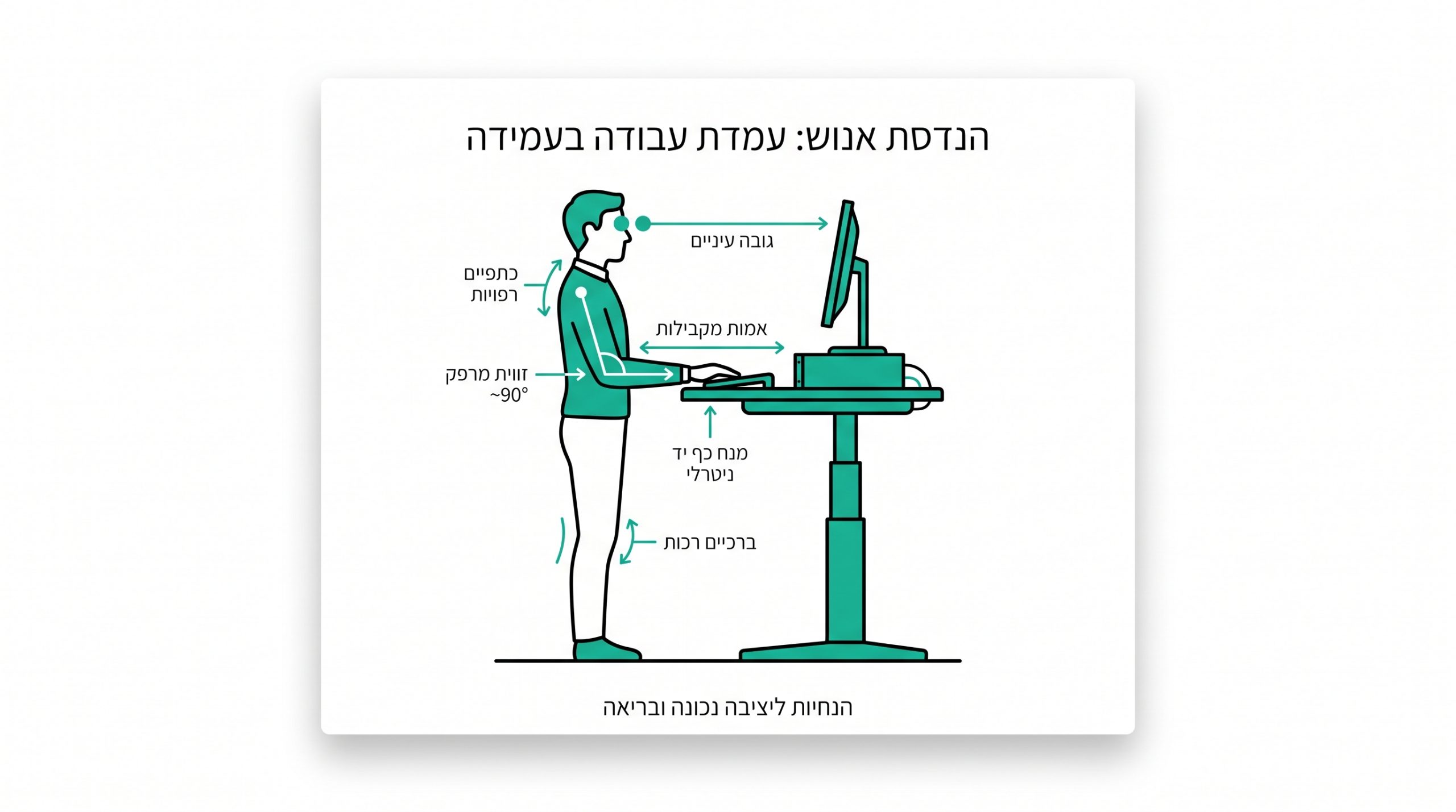 גובה נכון לעמדת עבודה בעמידה - שולחן מקלדת ומסך